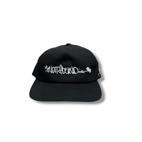 未確認404 SNAP BACK (grow)