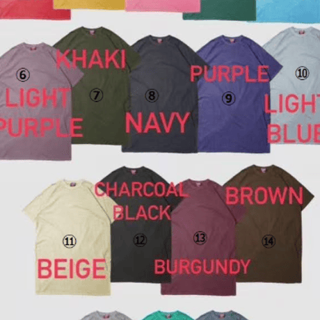 即納販売　0111【数量限定販売】pigment slit ops/17カラー【influencerさん着用】