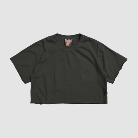 0113 pigment crop T-shirt/18カラー