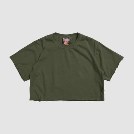 0113 pigment crop T-shirt/18カラー