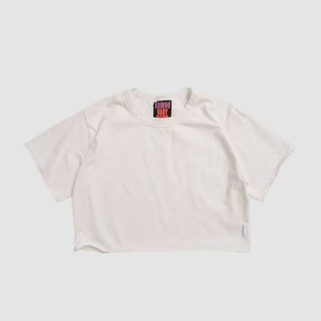0113 pigment crop T-shirt/18カラー