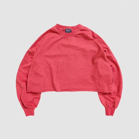 【即納販売】 pigment crop longsleeve/6カラー