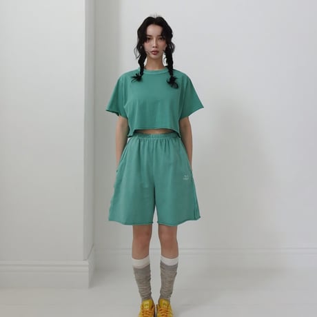 0113 pigment crop T-shirt/18カラー