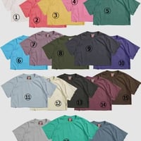 0113 pigment crop T-shirt/18カラー
