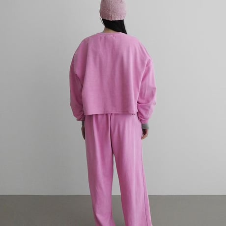 【即納販売】 pigment crop longsleeve/6カラー
