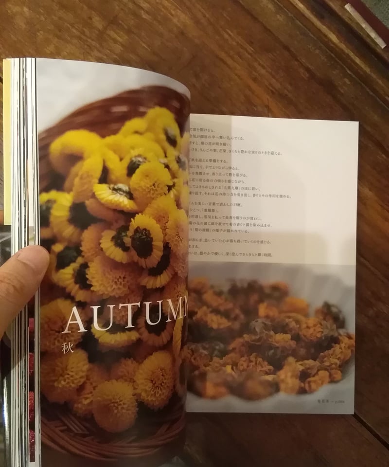 季節に寄り添う韓国茶 | 旅の本屋のまど