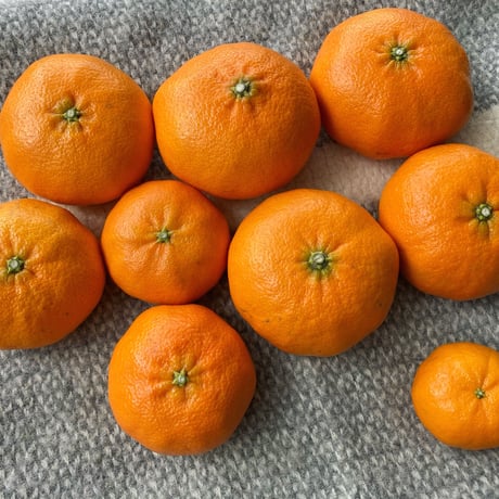 甘平3kg（1月末発送）