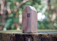 屋久島の森で育ったクスノキの「家」