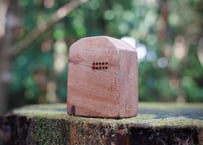 屋久島の森で育ったクスノキの「家」