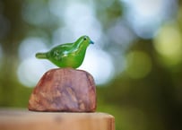 屋久杉とガラス細工のコラボ作品