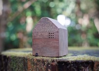 屋久島の森で育ったクスノキの「家」