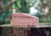 屋久島の森で育ったクスノキの「家」