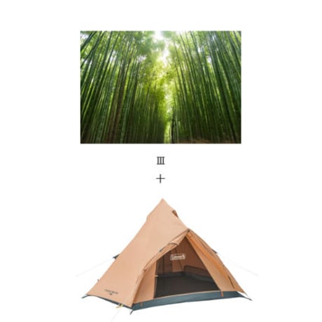 Colemanエクスカーションティピー/325＋寺CAMP  Ⅲ大人ticket   限定4セット