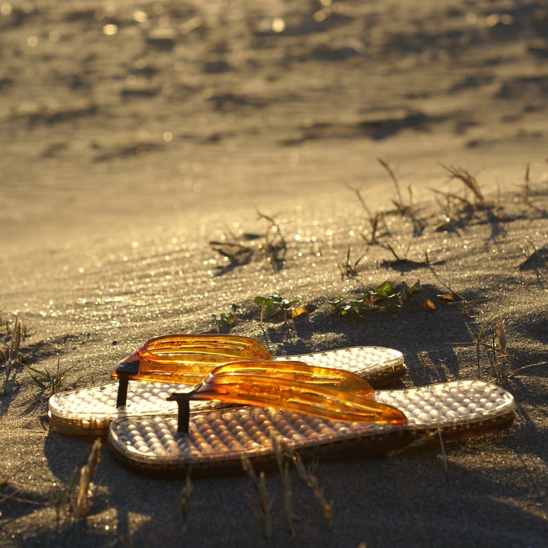 MONTECARLO BUMPS(モンテカルロ・ヴァンプス) TARTARUGA[タータルーガ