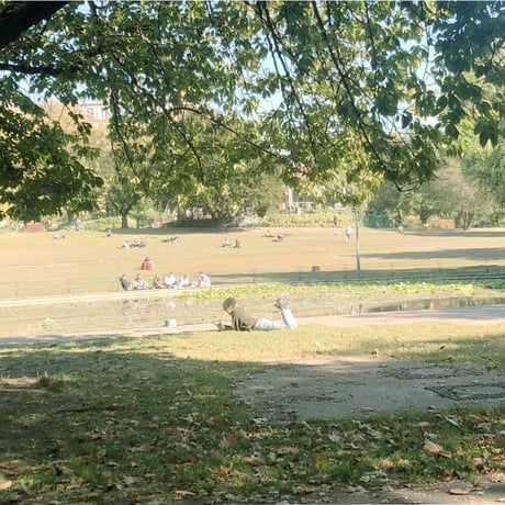 Berlin  Tunic  160