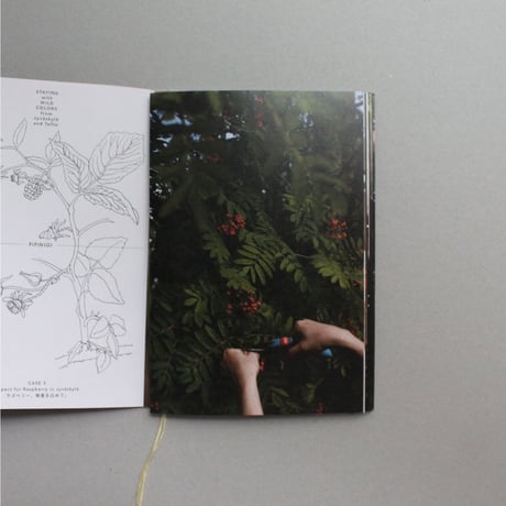 【ZINE】STAYING with WILD COLORS from Jyväskylä and Tallinn
