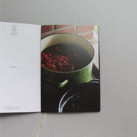 【ZINE】STAYING with WILD COLORS from Jyväskylä and Tallinn