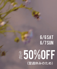 【特別価格】季節のお花おまかせ便｜15本以上｜6/6・7発送　関東甲信越東海エリア/3名限定