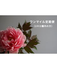 1Mile定期便（約2km圏内の方対象です）