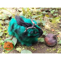 Antlered-Cavy(Green&Brown)／モルディアー（緑黒）2023