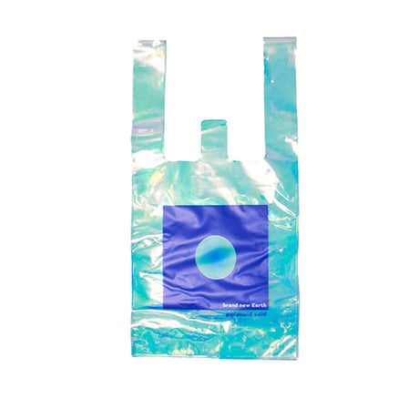 PVC BAG -Earth-