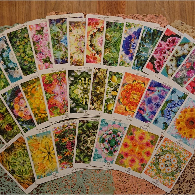 ＊いちとむぎ＊★オラクルカード いちとむぎ＊☆オラクルカード Amazon.co.jp: ZXKYZR8 ドラゴン