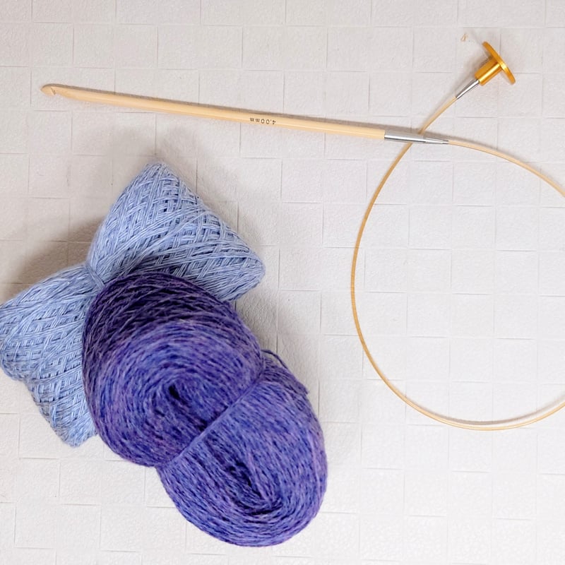 定価21,780円➡6,790円引 新品未開封キャリーティー アフガン針セット