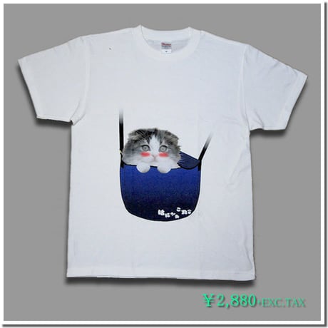 はにかみ仔猫Tシャツ（スコティッシュ・青ショルダー）