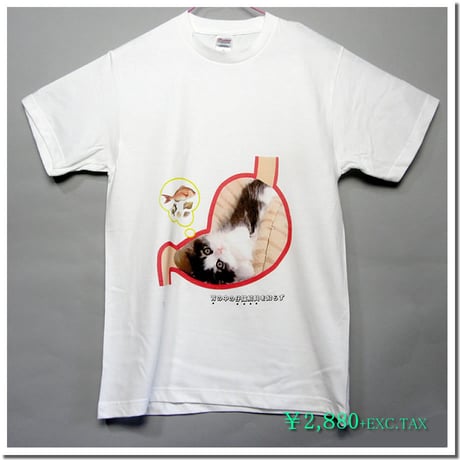 仔猫のデザインTシャツ(ことわざ編 Part3)　着心地の良い定番Tシャツに人気のスコティッシュフォールドの仔猫をモチーフに有名なことわざをパロディ化したコミカルなデ