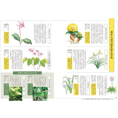 別冊73号 庭シリーズ③「野の花を楽しむ庭ー山野草の庭づくりー」