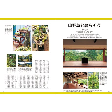 別冊73号 庭シリーズ③「野の花を楽しむ庭ー山野草の庭づくりー」