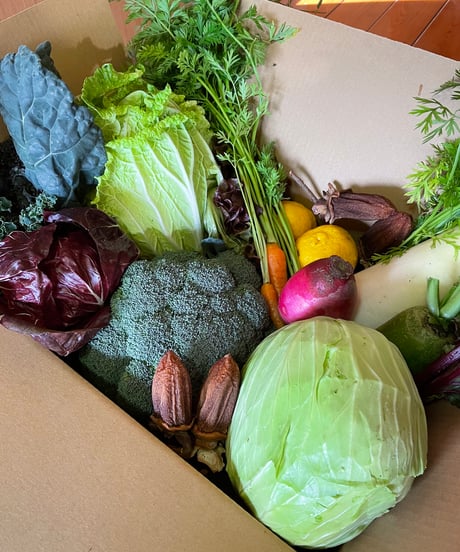 (80size)|Subcription 10boxes| Season's Best Organic Vegetable with Egg Subsription