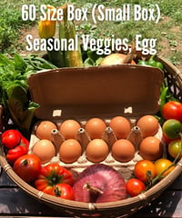 (60size, small box for 1-2 persons) Season's Best Organic Vegetables with Egg!!