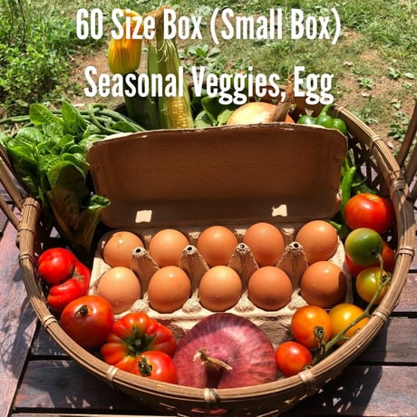 (60size, small box, for 1-2 persons) Season's Best Organic Vegetables with Egg!!