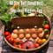 (60size, small box for 1-2 persons) Season\'s Best Organic Vegetables with Egg!!
