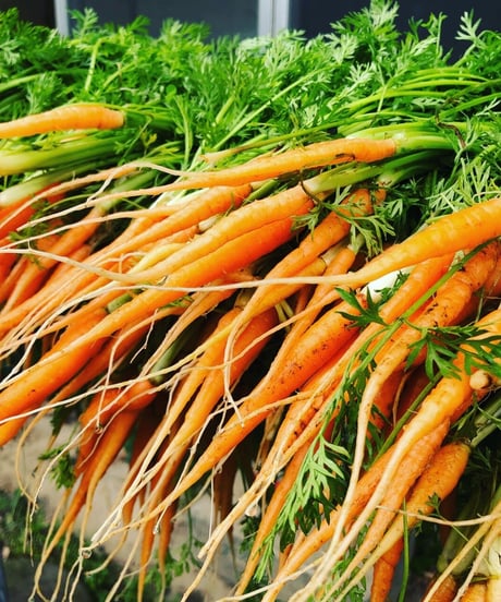 (60size, small box for 1-2 persons) Season's Best Organic Vegetables with Egg!!