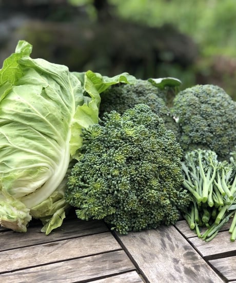 (60size, small box for 1-2 persons) Season's Best Organic Vegetables with Egg!!