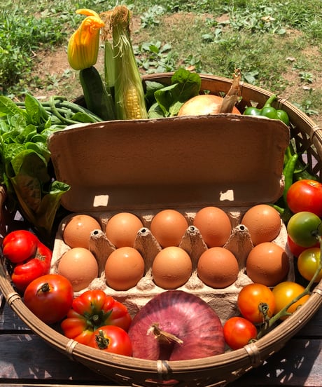 (80size)|Subcription 10boxes| Season's Best Organic Vegetable with Egg Subsription