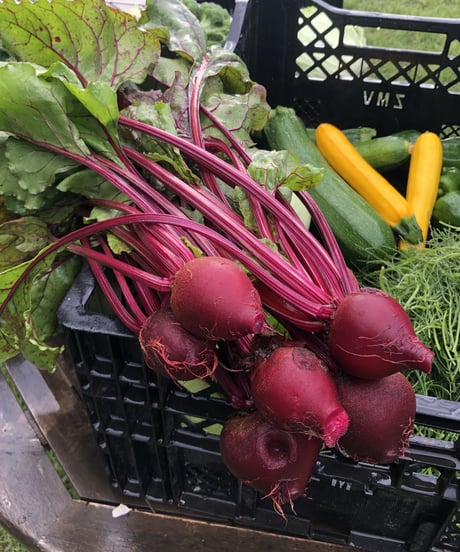 (60size, small box for 1-2 persons) Season's Best Organic Vegetables with Egg!!