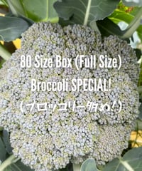 (80size)Broccoli Special Box!! | BEST BROCCOLI SEASON EVER!!
