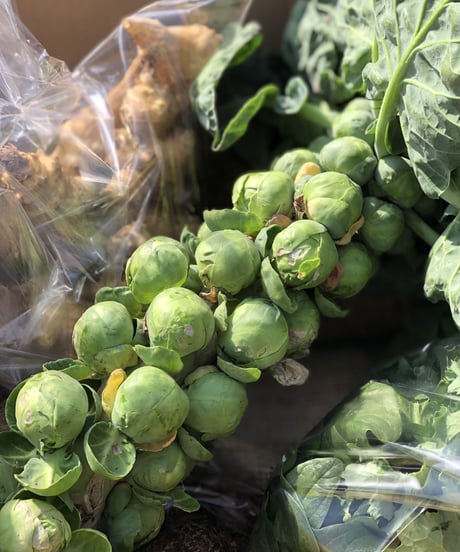 (80size)Farmer's Choice | Organic Vegetables with Eggs!
