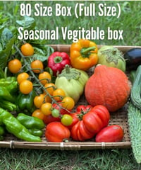(80size)Farmer's choice! | Season's Best Organic Vegetable box!