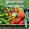(80size)Farmer\'s choice! | Season\'s Best Organic Vegetable box!