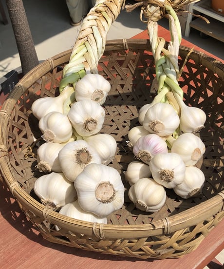 (60size)"Hanging" Organic Garlic - 10 heads of Garlics
