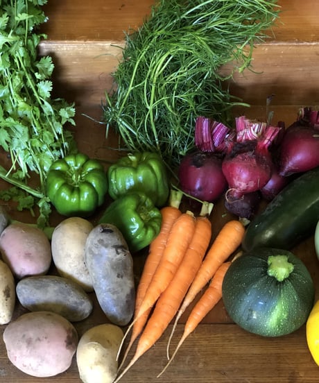 (60size, small box for 1-2 persons) Farmer's choice! Season's Best Organic Vegetable box!