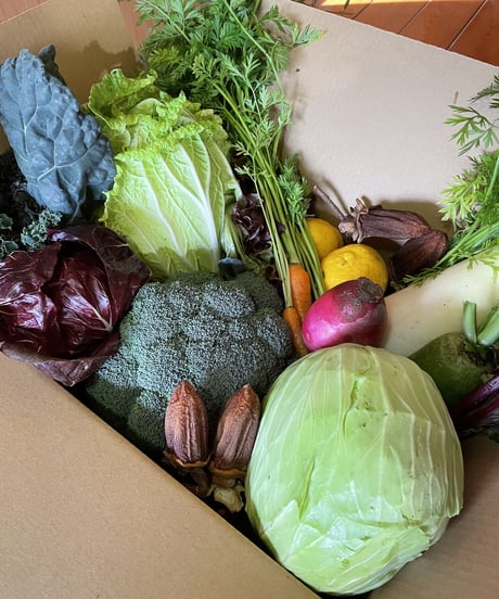 (80size)Farmer's choice! | Season's Best Organic Vegetable box!