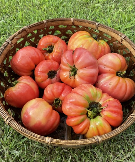 (80size)Farmer's choice! | Season's Best Organic Vegetable box!