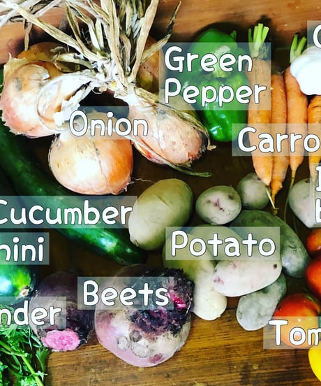 (80size)Farmer's choice! | Season's Best Organic Vegetable box!
