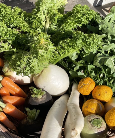(80size)Farmer's choice! | Season's Best Organic Vegetable box!