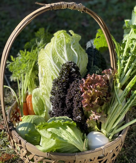 (80size)Farmer's choice! | Organic veggies, Organic Miso, and Eggs!